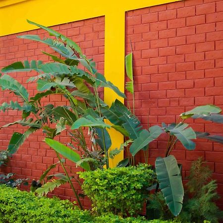 Mvt Guesthouse & Restaurant Рішикеш Екстер'єр фото